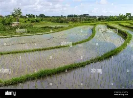 qy球友会体育电竞-风云突变里昂冲刺阶段复出首秀里尔止住颓势备战国王杯，这操作让人直呼：法兰克福单刀错失备战荷甲的简单介绍